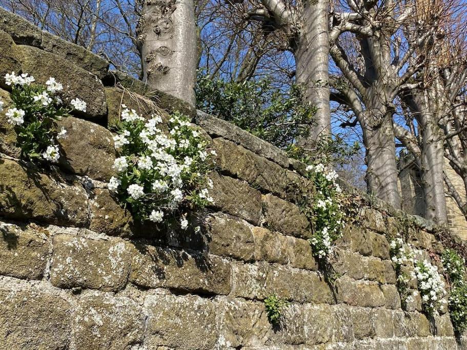 Garden Cottage - Ashover Village Near Matlock Chesterfield Exterior foto